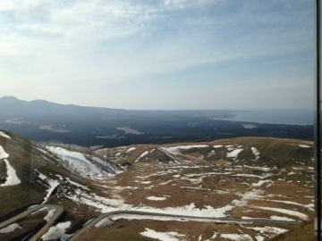 IMG_0984.jpg