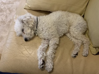 IMG_1011.jpeg