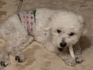 IMG_1030.jpeg