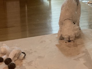 IMG_1036.jpeg