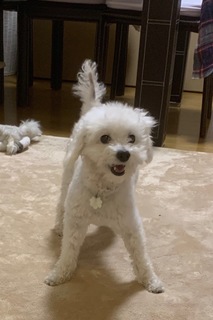 IMG_1076.jpeg