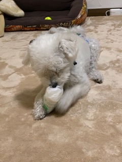 IMG_1086.jpeg