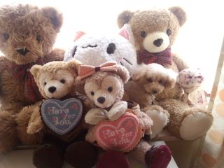IMG_20130203.jpg