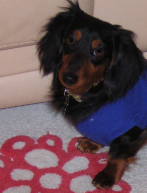 oliver0126.jpg