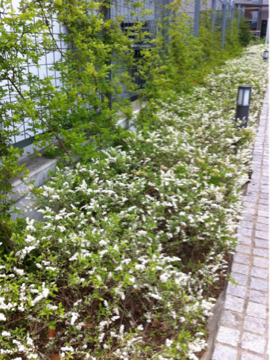 image-20120530171941.png