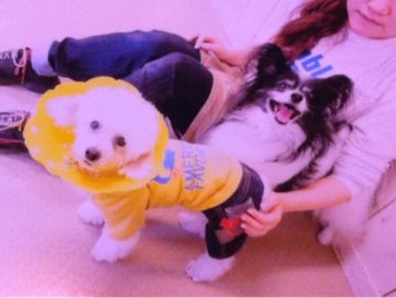 image-20120603144236.png