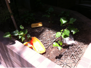 image-20120619110944.png
