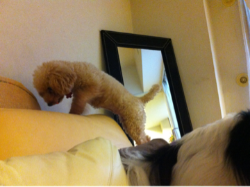 image-20121022145226.png