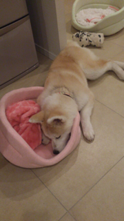 image-20130318225527.png