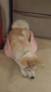 image-20130318225701.png