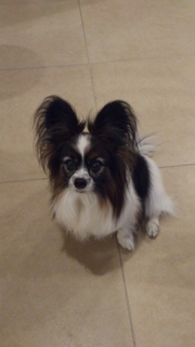image-20130318230205.png
