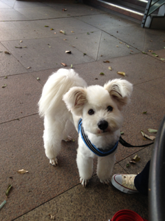 image-20130409124608.png