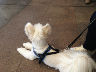 image-20130409124642.png