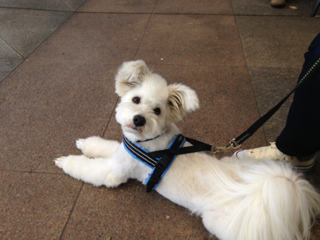 image-20130409124718.png