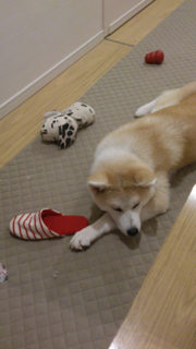 image-20130409130026.png
