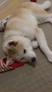 image-20130409130034.png