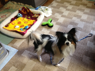 image-20130414232313.png