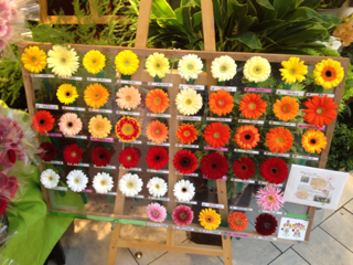 image-20130415165248.png