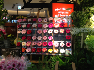 image-20130415165300.png