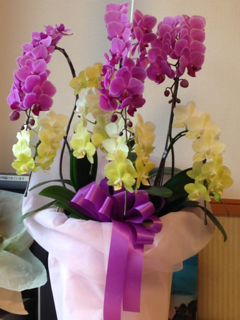 image-20130421161600.png