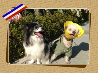 image-20130429001805.png