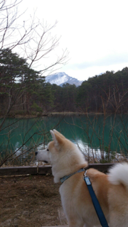 image-20130504005854.png