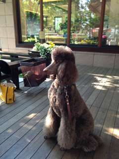 image-20130513194626.png