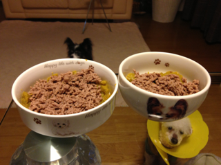 image-20130513194848.png