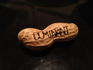 image-20130523202744.png
