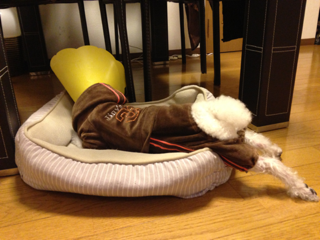 image-20130523202942.png