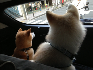 image-20130604153743.png