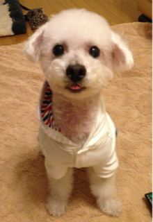 image-20130624223308.png