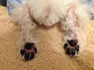 image-20130702205743.png