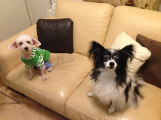 image-20130923235118.png
