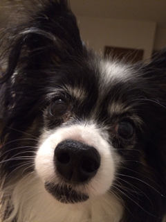 image-20131008113352.png