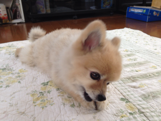 image-20131009165418.png