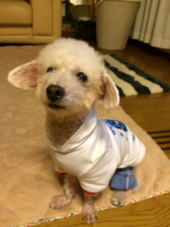 image-20131010185810.png