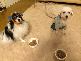 image-20131123144751.png