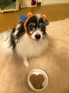 image-20131123144810.png