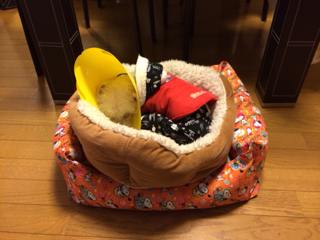 image-20131210204328.png