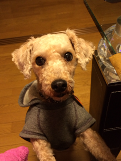 image-20131217011813.png