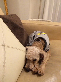 image-20131217092618.png