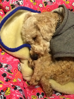 image-20131219003855.png