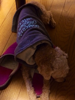 image-20131219004108.png