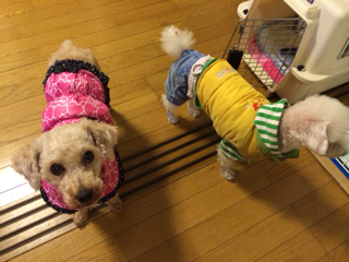 image-20131224222920.png