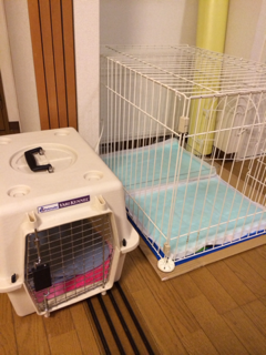image-20131226000104.png