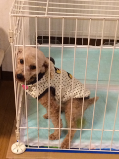 image-20131226185702.png