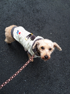 image-20131227170640.png