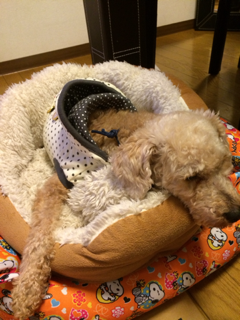 image-20131228222911.png