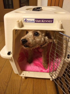 image-20131228223956.png